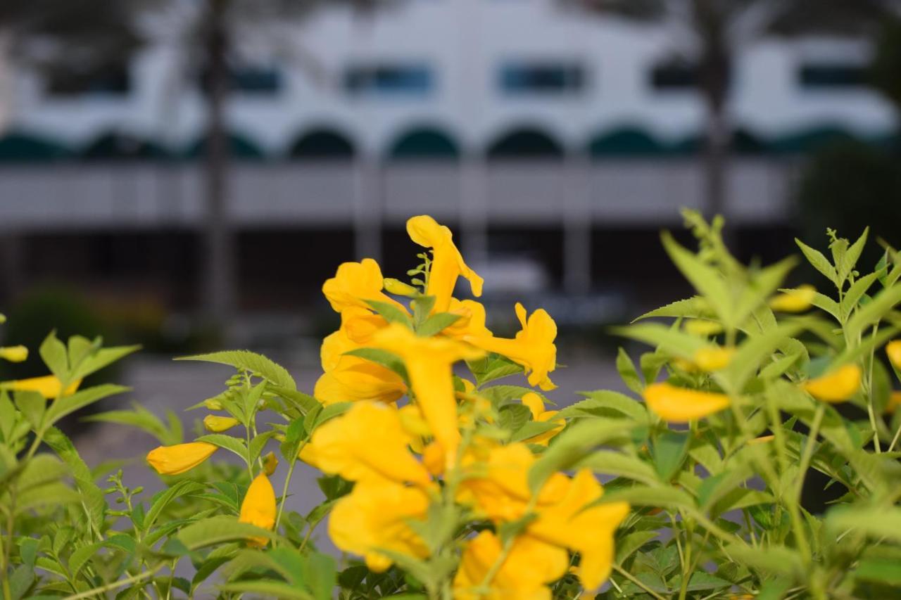 Hotel Summersands Seeb Exterior photo